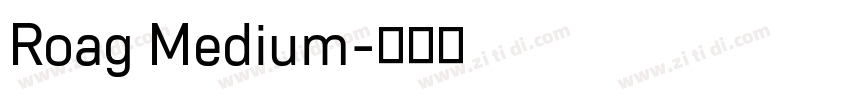 Roag Medium字体转换